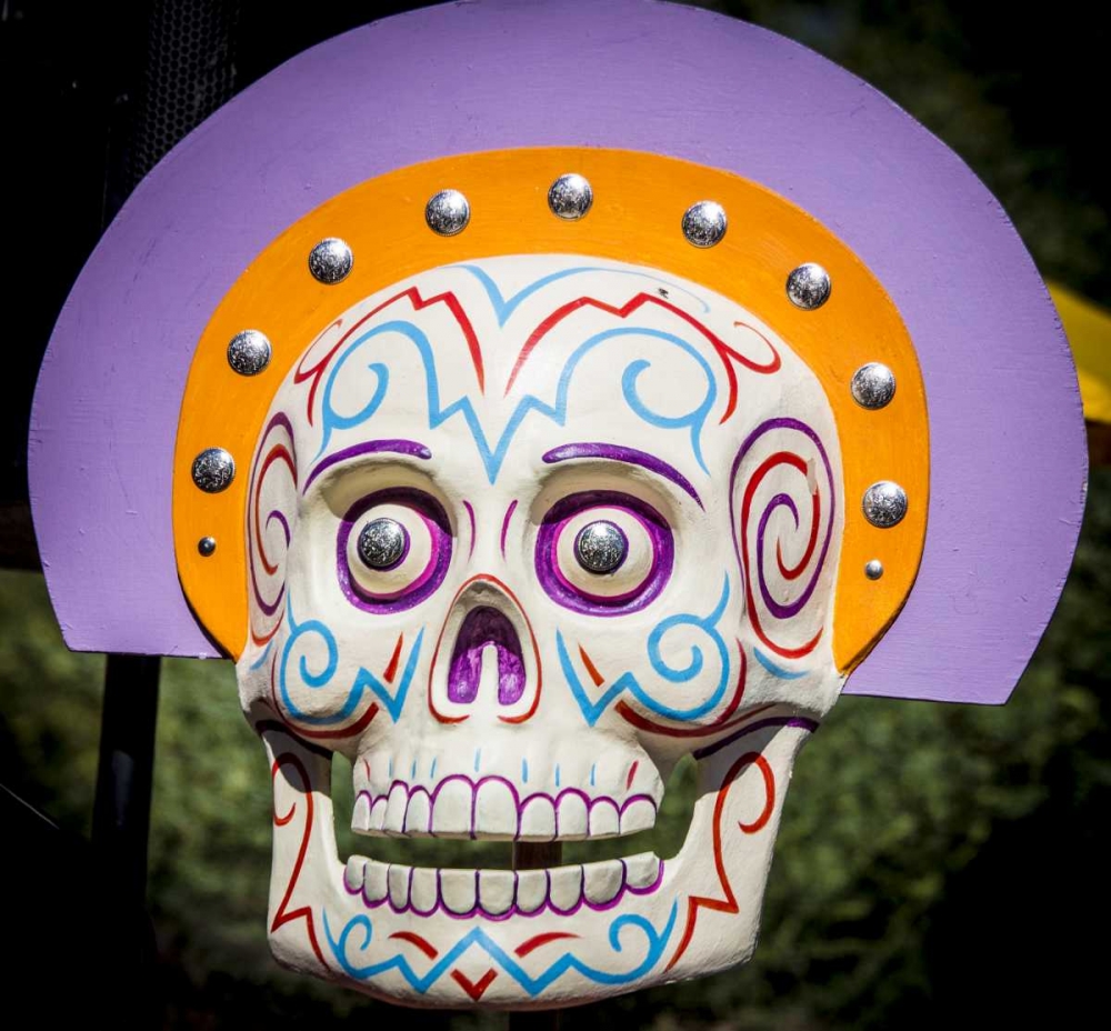 AZ, Phoenix Arty skull displayed at celebration